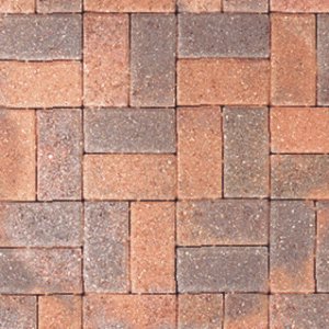 Standard 60mm Salmon Mix