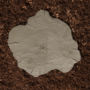 Borealis Stepping Stone