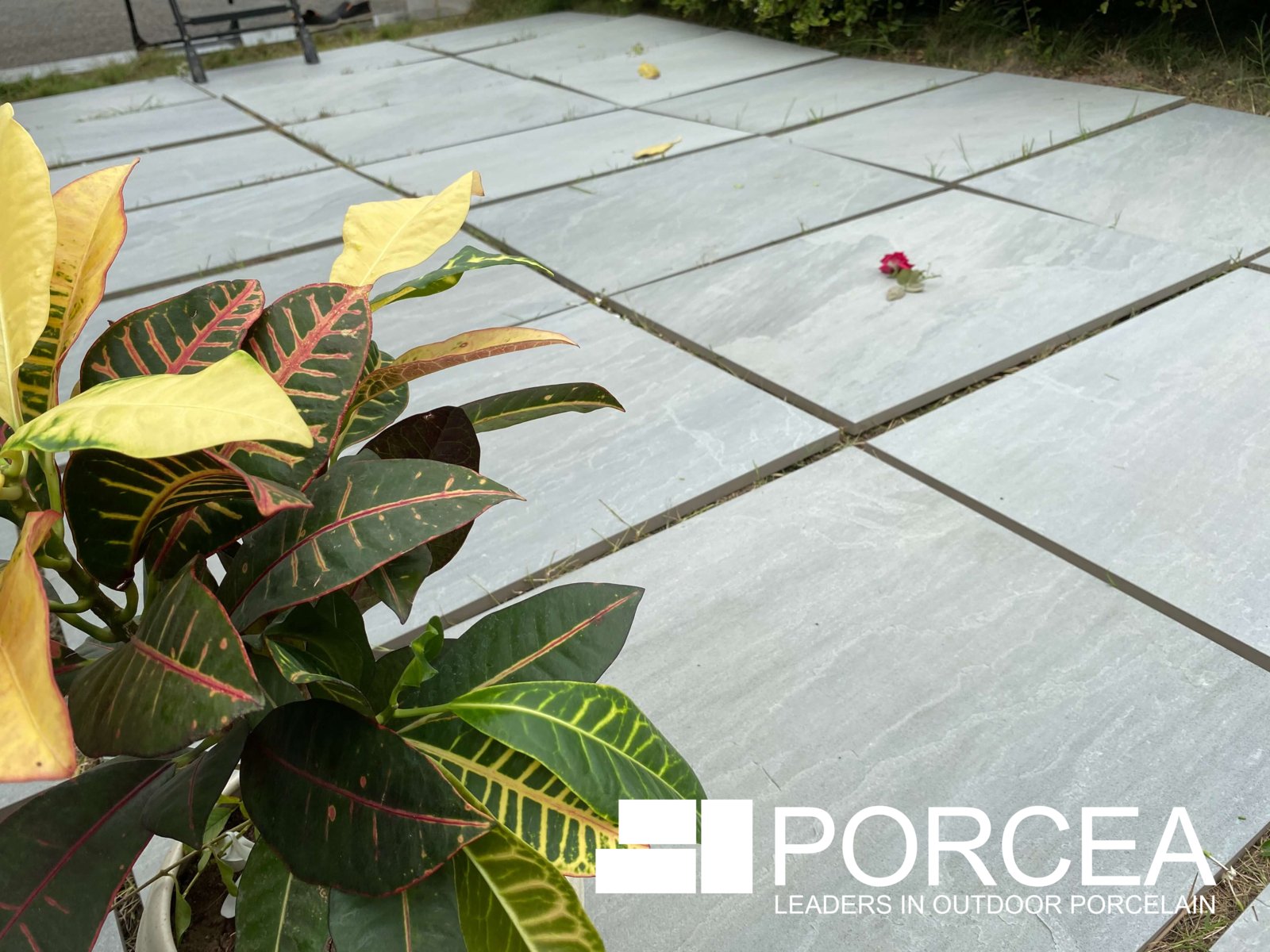 Porcea Ice Grey